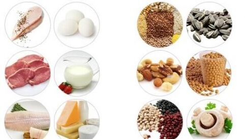 Potraviny s vysokým obsahem živočišných a rostlinných bílkovin pro mužskou účinnost